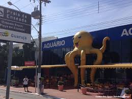 Aquario Enseada