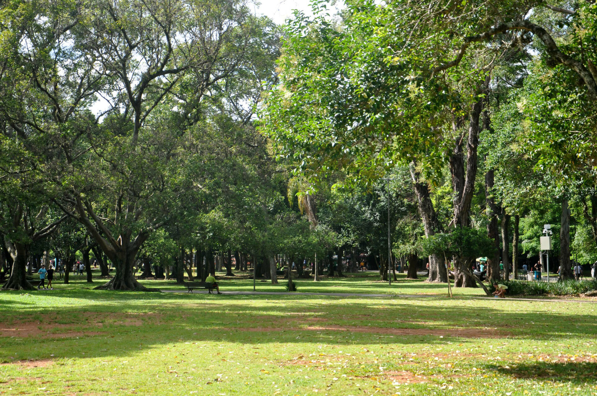 Parque Villa-Lobos