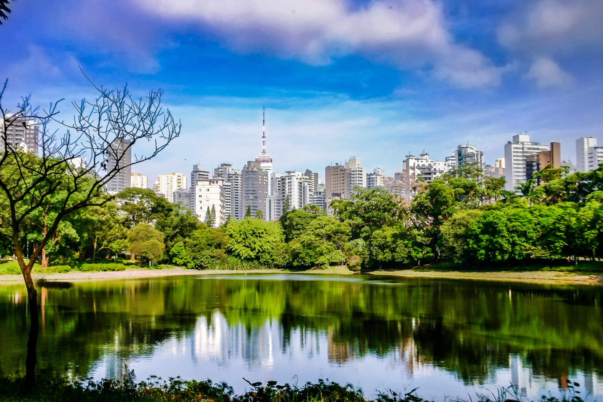Parque da Aclimação