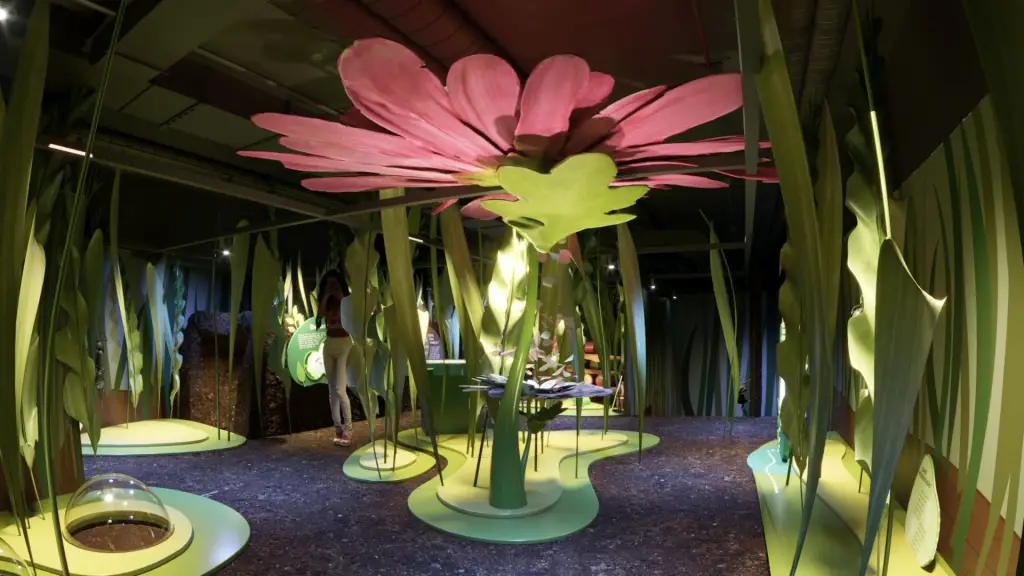 museu da imaginação em sp