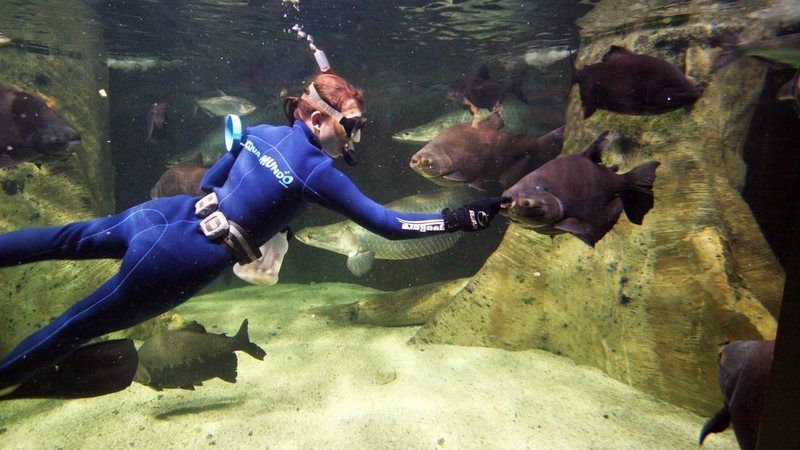 Acqua mundo no Guarujá SP