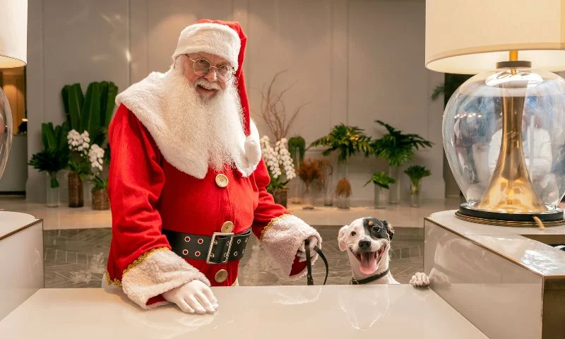 Papai Noel no palácio tangará sp