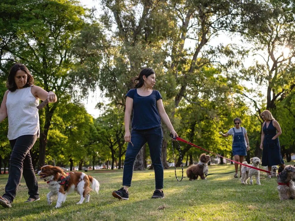 O que fazer no bairro Paraíso em SP?