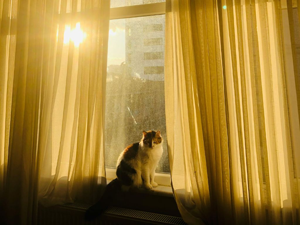 Descubra qual a melhor posição do sol para apartamento (face norte, sul, leste ou oeste) e entenda como a orientação solar influencia no conforto térmico, iluminação natural e valorização do imóvel.